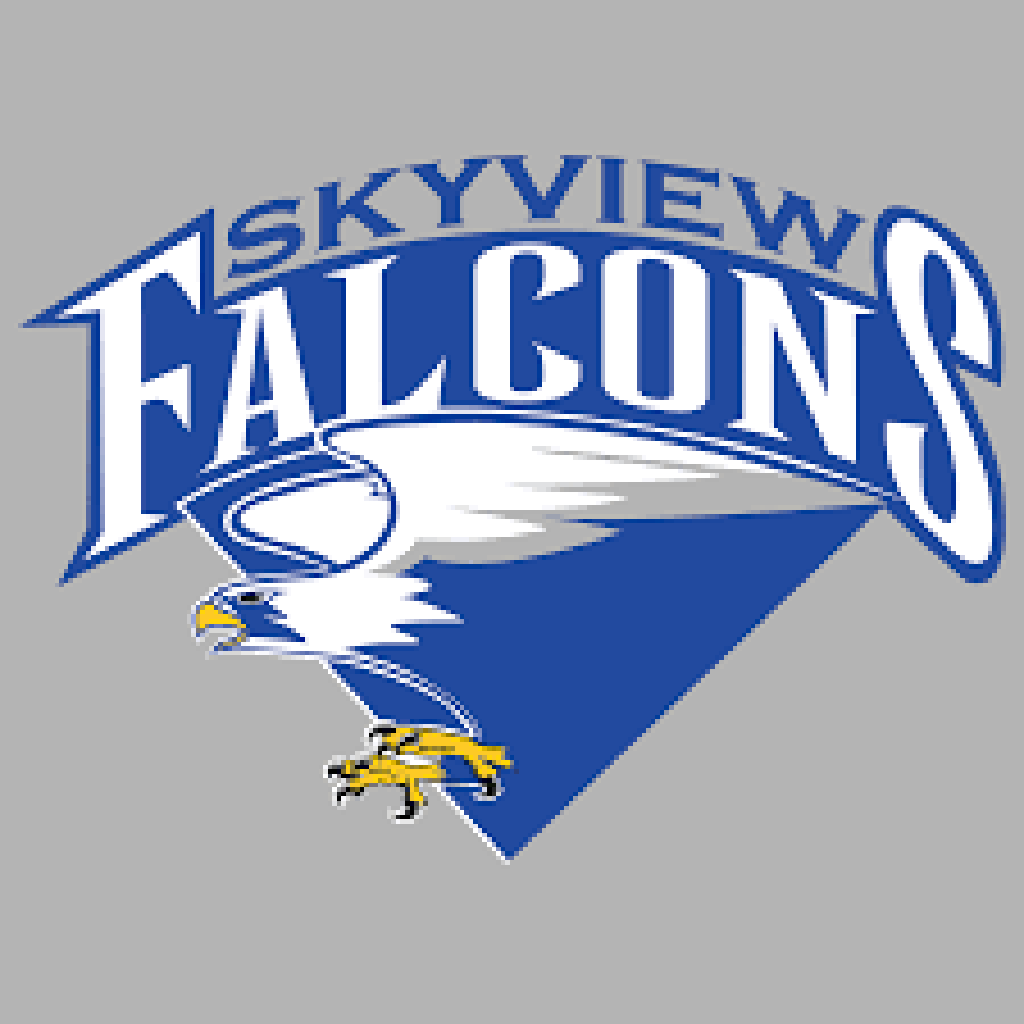 Skyview Falcons 2